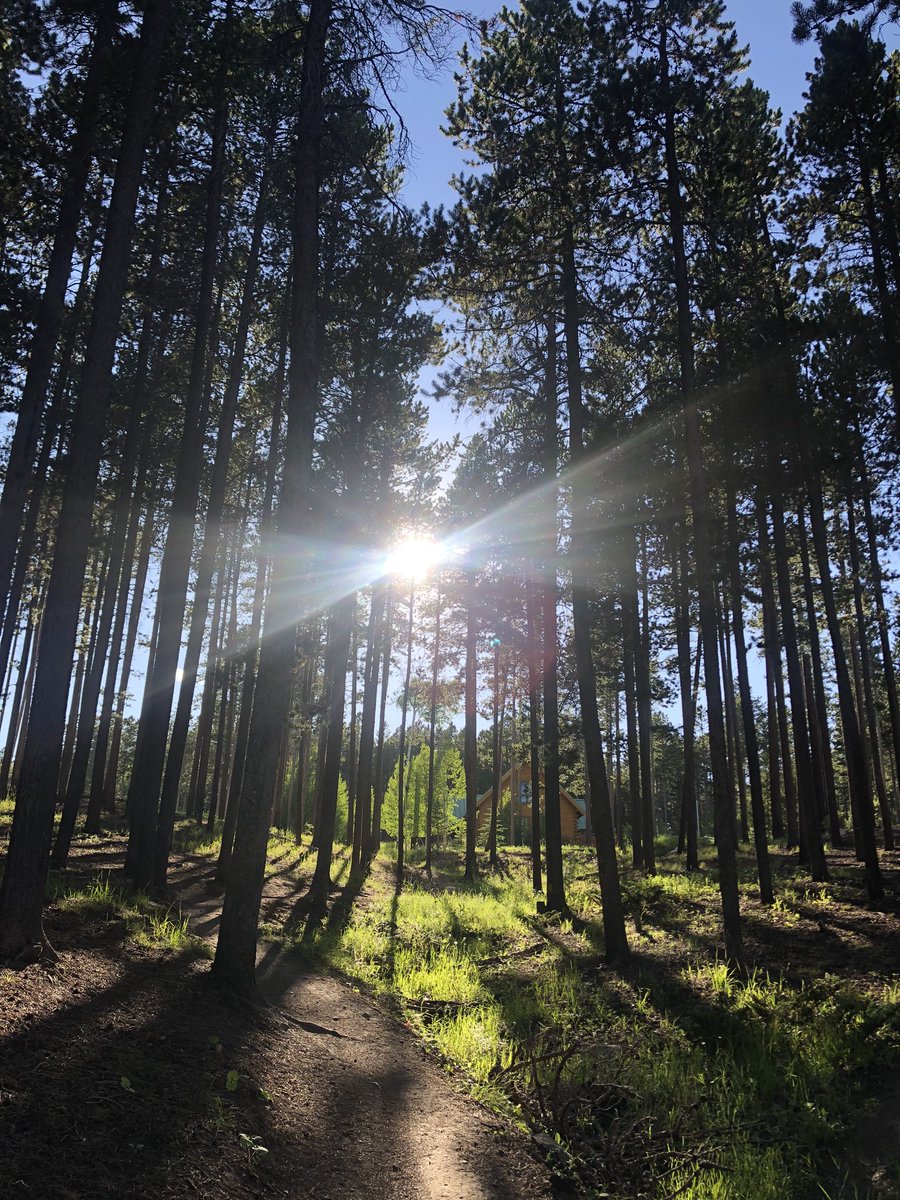 shvander's tweet photo. Love this mountain of ours. Nice way to unwind on a #HumpDay #caspermountain @visitwyoming @VisitCasper https://t.co/GuVnT0lU1v