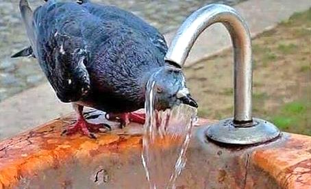 '

"اَلـُلٌهـم آجرنـآ من حر الدنيـا"
 و نـار الاخره
 اَلـُلٌهـم برد علـّۓ قبور موتانـآ 
 وهـم تحـت رحمتگ و آجعل قبورهـم
 بردآ و سلامآ

"اَلـُلٌهـم آمين يــا رب الـ؏ـالميـن"
ـــــــــــــــــــــــــــــــــــــــ ♡