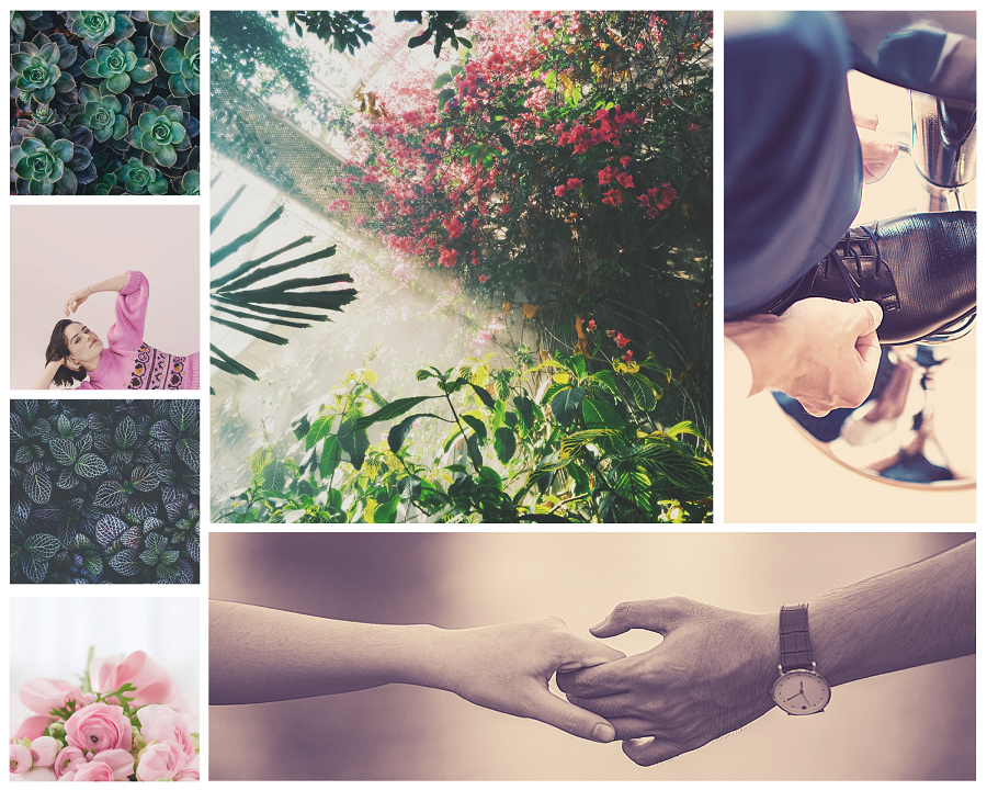 HouseReysistnce's tweet photo. "In The Garden" by @crossing_winter for a board by ishie: "Ben returns from war and Rey finds him where they've always found one another: in the garden." A sweet and somber Secret Garden AU filled with vivid imagery and emotion. (rated G) https://t.co/QcgZHMs6Xc https://t.co/7R63L1FT78