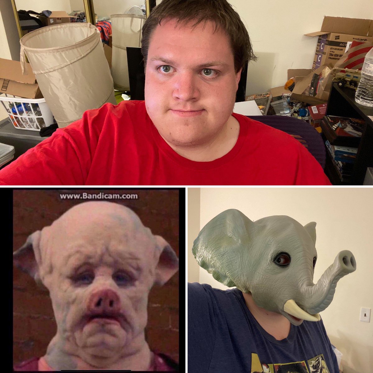 Primeforce3SP's tweet photo. @PowerRangersFun My animal sprits pig and eliphant https://t.co/RrSHtQqYYC