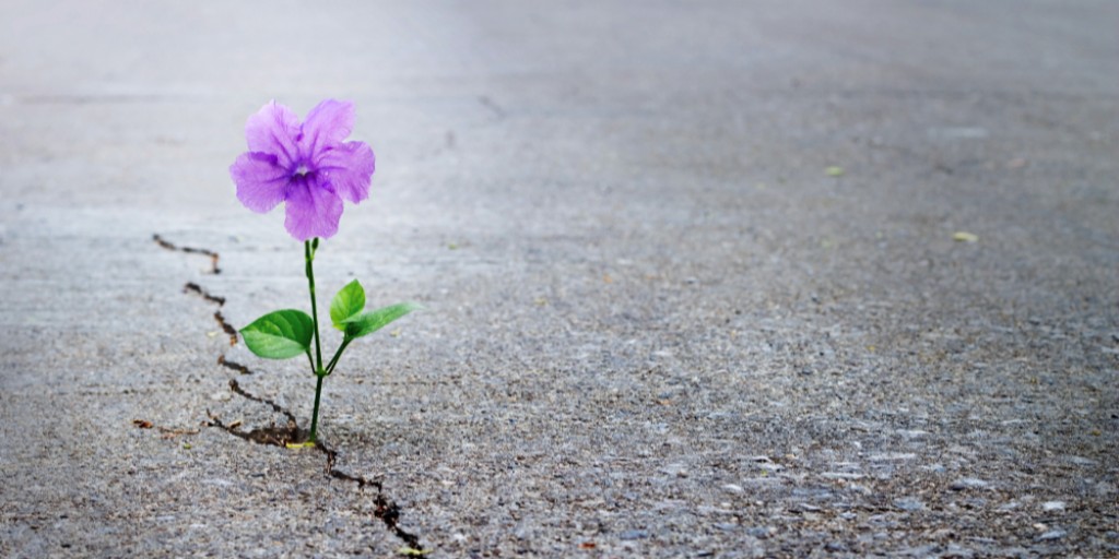 NRPublicHealth's tweet photo. Are you worried about someone in your life? Thoughts of suicide can happen to anyone, especially during stressful times. If you or someone you know is struggling, help is here: https://t.co/fgDA0zkAlW #NiagaraSPC https://t.co/dflpVJM7vY