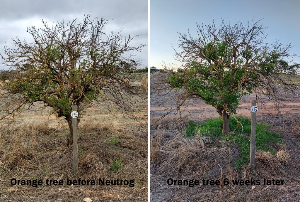 Neutrog Commercial tweet media