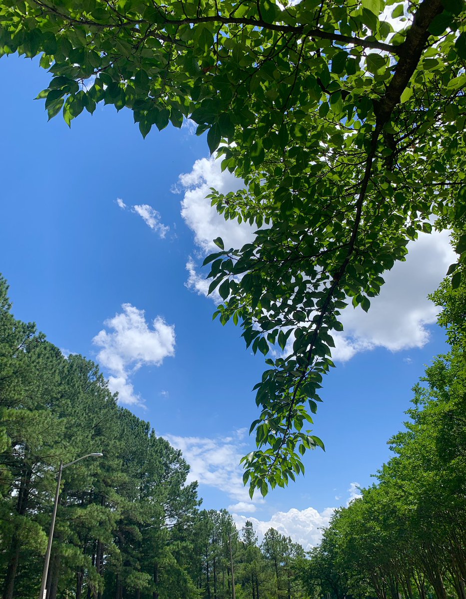 Noblelady09's tweet photo. My happy place during quarantine has been walking or running laps around the empty school parking lot behind my apartment, listening to music or a podcast (most played - Laughter Permitted!) #choosetomatter @JulieFoudy @JFoudySLA #week3challenge https://t.co/FPGPbpgeYO