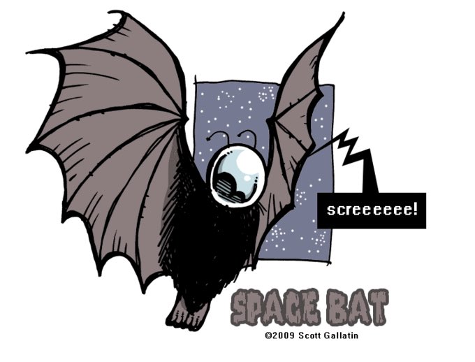 According to  @NatGeo, “The story of Space Bat spawned a memorial blog...” (which is no longer operational so enjoy these fan-made images instead) 6/(s: Andrew Klein Creative; Ossian Public Library; Scott Gallatin)