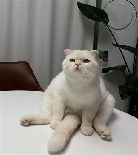 HereKittens's tweet photo. https://t.co/NgKBJCzjS9