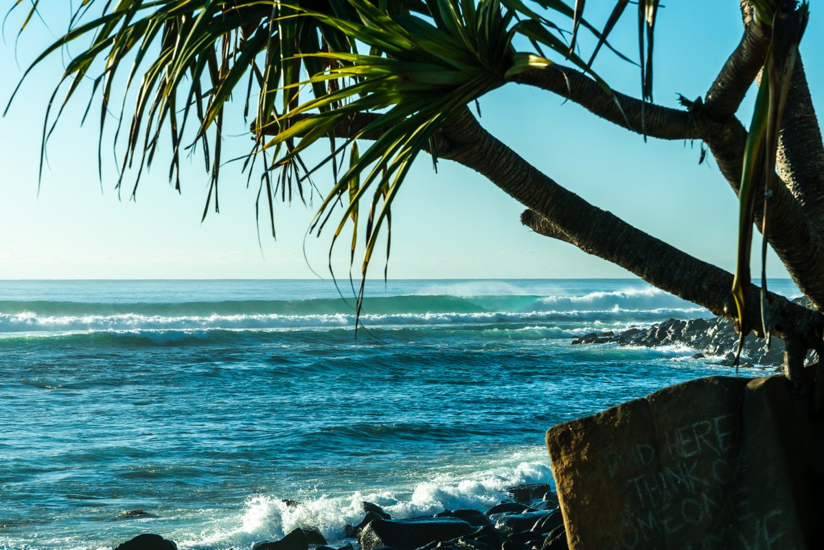 dhdsurf's tweet photo. Epic winter conditions and plenty of swell around at the moment. The ideal option for the performance/travel boards. #DNA #DX1 #SweetSpot30 #Ducksnuts #ProudlyHandMadeInBurleigh
https://t.co/LvIWPw7CYA https://t.co/Sysb18yUan