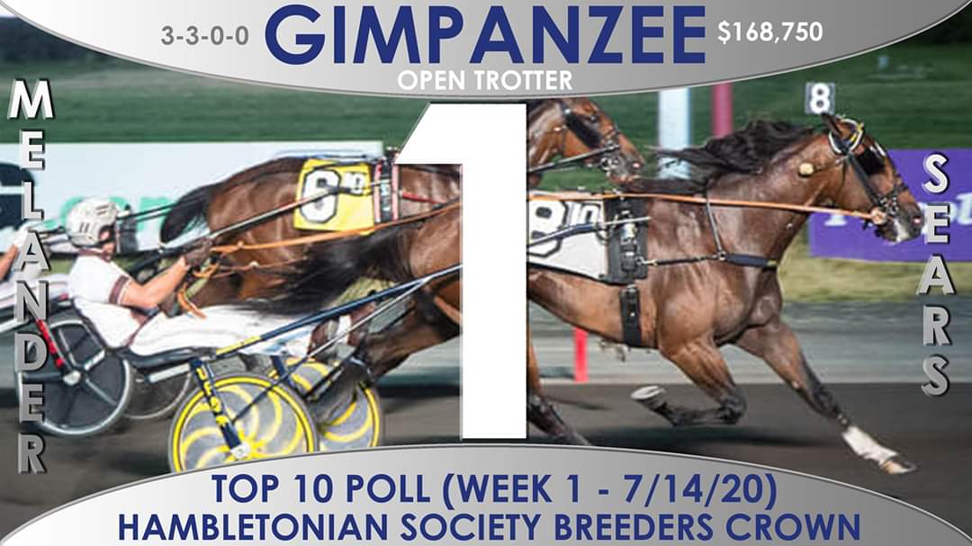 Breeders_Crown's tweet photo. Gimpanzee tops first Hambletonian Society/Breeders Crown Poll #HamboMaturity https://t.co/Dhj9ANedwY