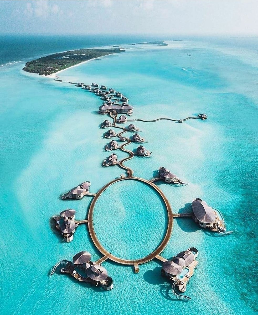 iTouristBaba's tweet photo. Who wanna stay here 😍
.
.
Follow @iTouristBaba
Follow @iTouristBaba
.
.
#travel #travelphotography #travelgram #traveltheworld #travelblogger #traveling #travelgram #traveler #travelguide #travelholic #travelcommunity #travelmaldives #visitmaldives #exploremaldives https://t.co/Xmu0EPDrXV