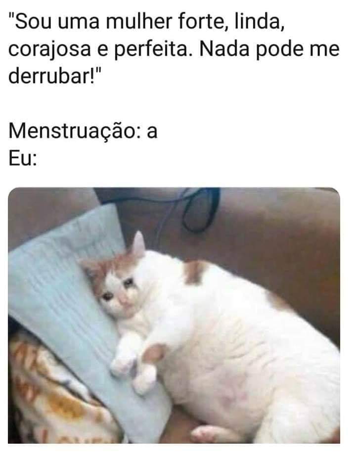 doidas_e's tweet photo. Ain pq eu sou f***
Kk https://t.co/KU1HuOplAA