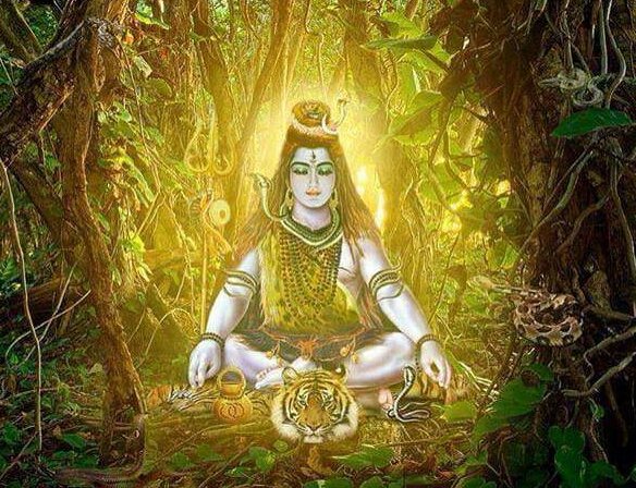 #BhagavadGita 6.16&amp;25: We can not become a yogi, if we eat too much or eat too little, sleep too much or do not sleep enough. A yogi should keep actions in moderation. Gradually, step by step, we must bring our body, mind, and intellect in the control of our self (atman). 
#Yoga