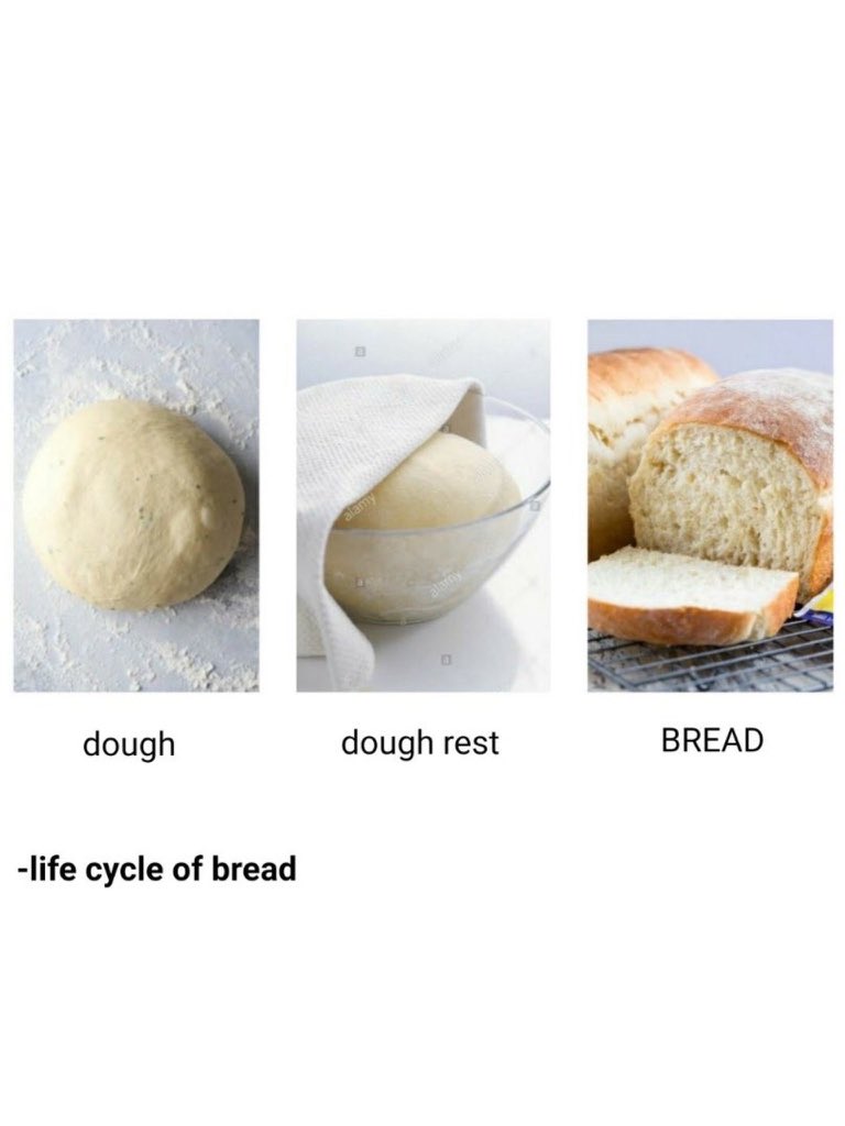 sweveniel's tweet photo. #KANGDANIEL: life cycle of a bread. https://t.co/r4J2BS8Mlr