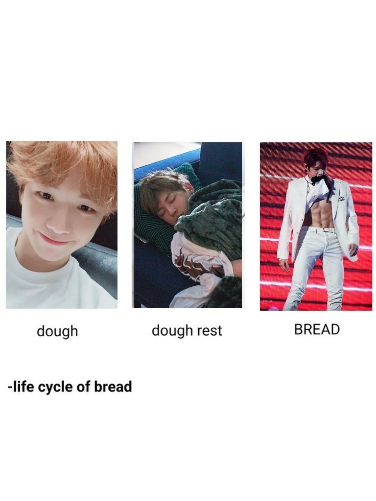 sweveniel's tweet photo. #KANGDANIEL: life cycle of a bread. https://t.co/r4J2BS8Mlr