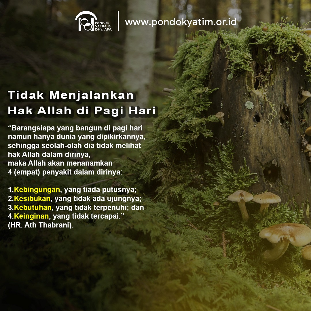 JMontano61's tweet photo. Sudahkah Kita Menjalankan Hak Allah di Pagi Hari?

#semogabermanfaat #hak #Allah #dipagi #hari #bersyukur #PYD #YASS #panti #asuhan #rumah #yatim #dan #dhuafa https://t.co/yKlK6MjWo8