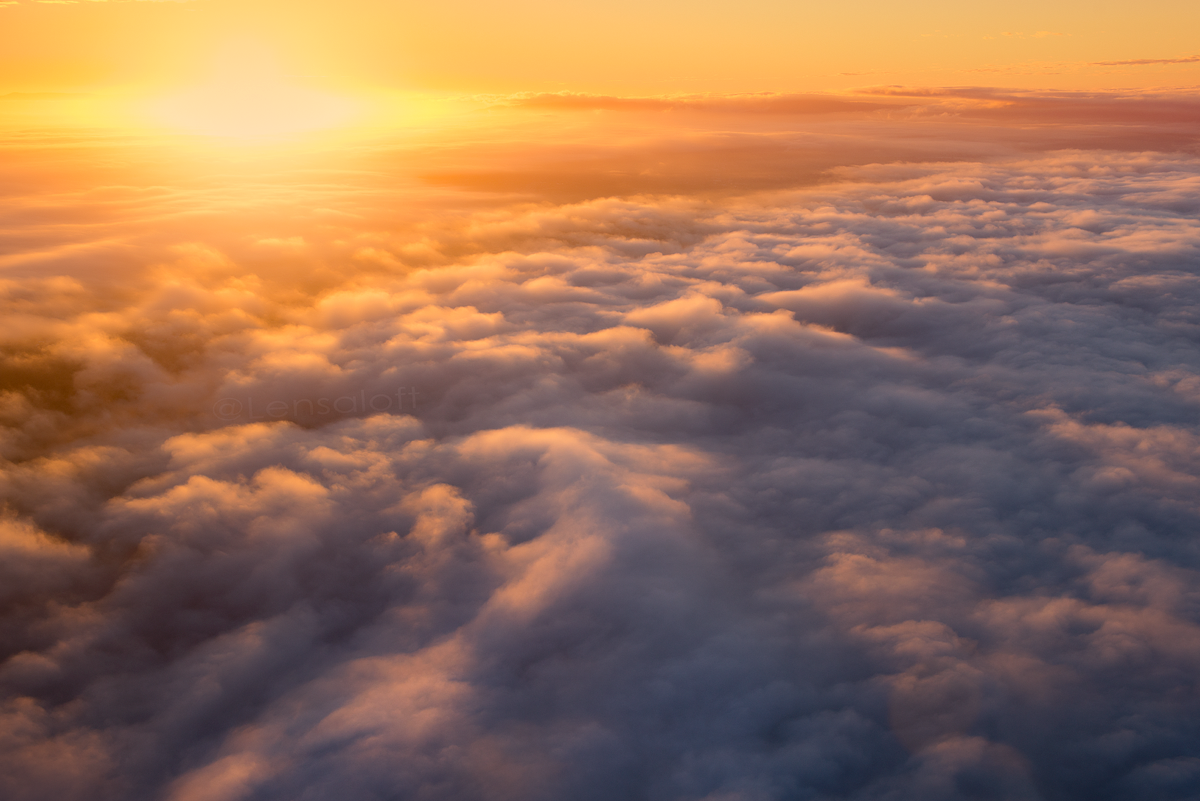 Lensaloft's tweet photo. Melbourne Fog! https://t.co/3Si9ft75Jf