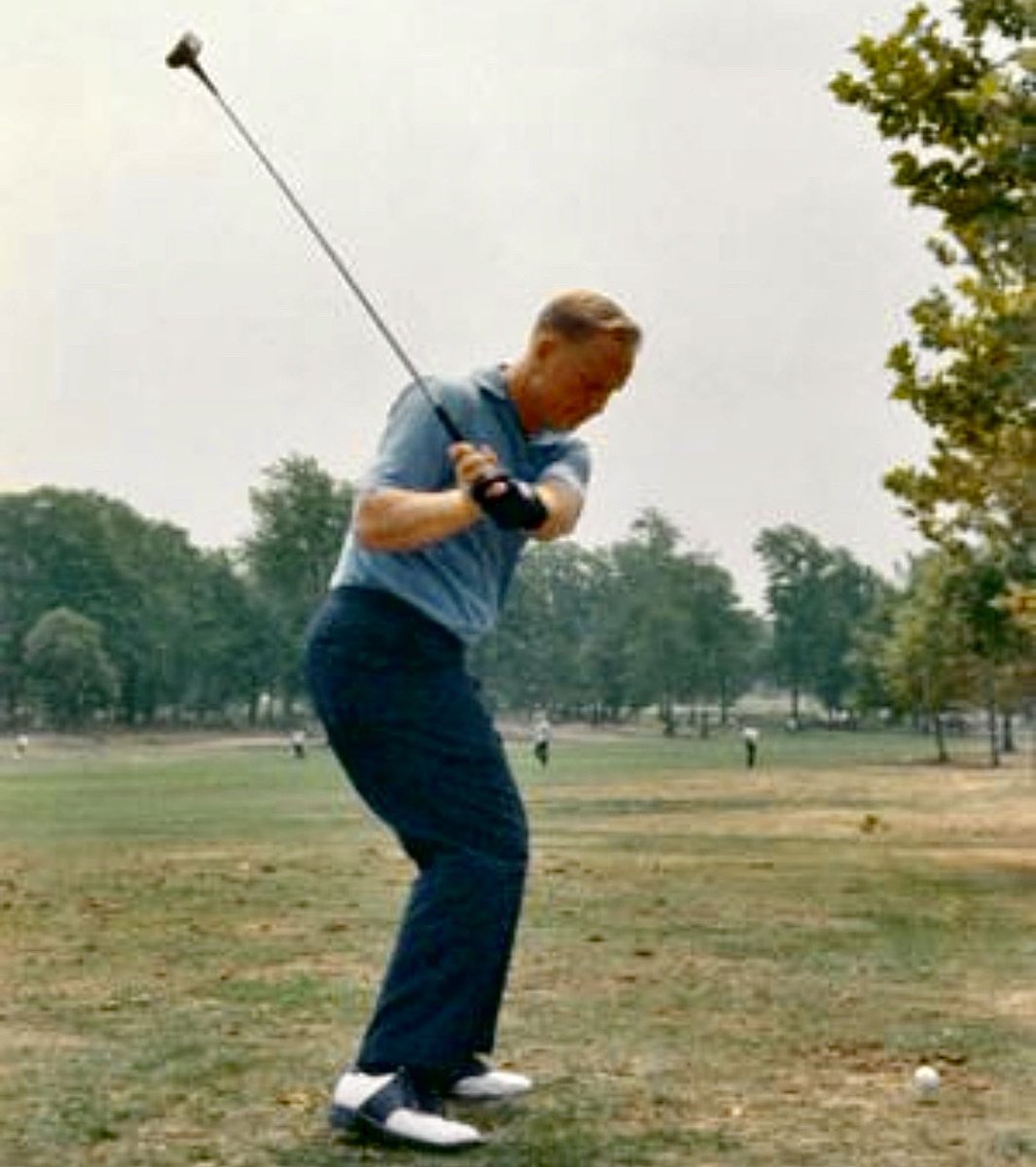 Brian Manzella tweet media