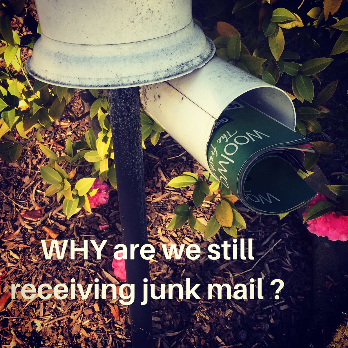 jumpsoundstudio's tweet photo. According to google coronavirus lasts 2hrs to 9days on hard surfaces... WHY THEN are we still receiving junk mail ... what a great way to transmit COVID-19... please throw all junk mail in the bin then wash your hands.  #convid #Covid_19 #StayAtHome #StaySafe #RETWEEETME https://t.co/rbfDqsNpR5