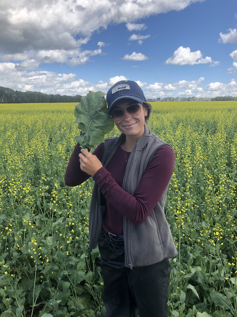 lecowell's tweet photo. If you find yourself in a Biggest Best canola leaf contest - grow some @ProvenSeed PV761. Truflex. Big yields. Big blackleg resistance. Big pod strength. Big leaves. @Fleury021 https://t.co/ryaFEj9EwY
