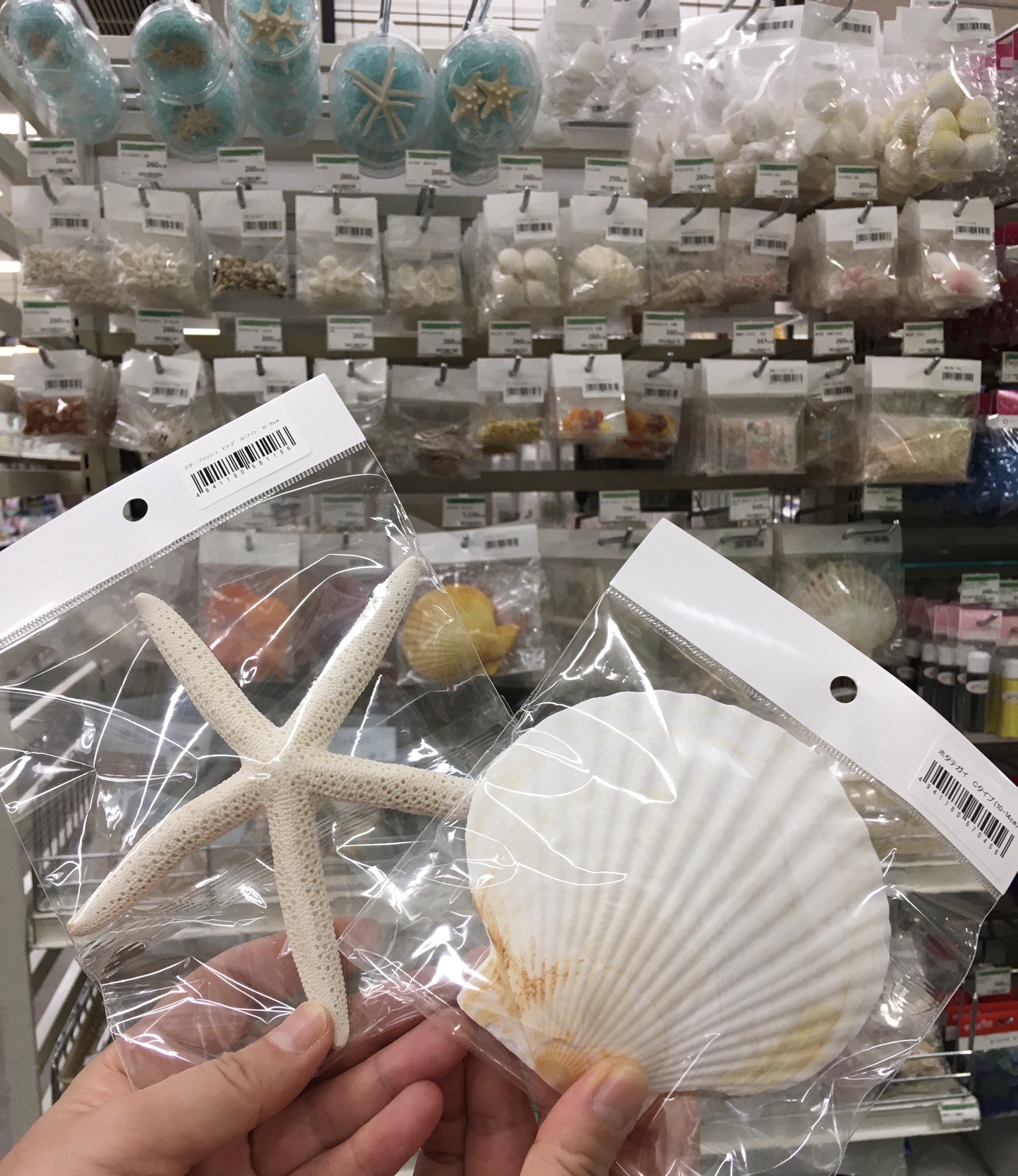 東急ハンズ新宿店 いつでも海を感じたい そんなあなた 貝殻ミラーはいかがですか ただの鏡も貝殻をはりつけたら 南の島気分が味わえます ヒトデやホタテ貝もありますよ 貝殻セット袋詰め 541円 税 ホタテガイ Cタイプ 380円 税 6f世界にひとつだけの