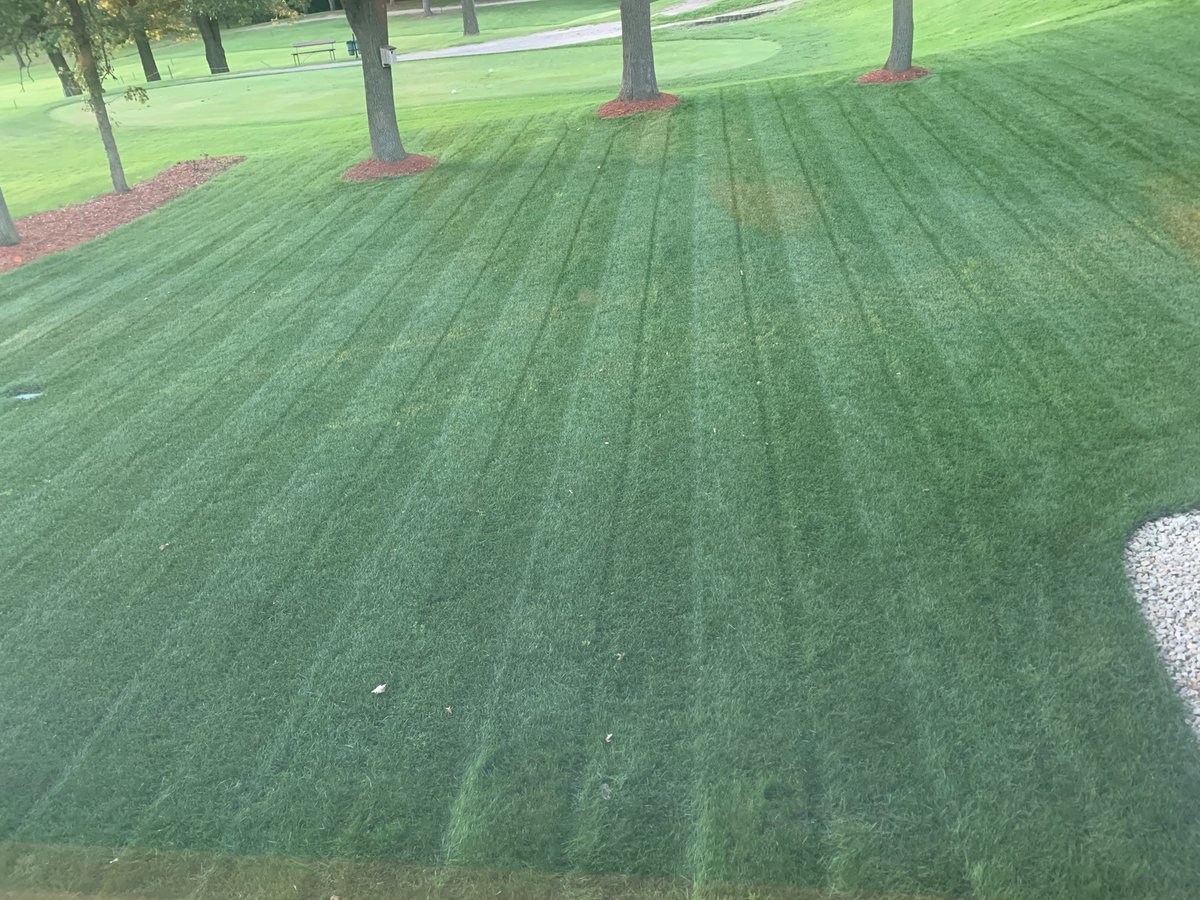 ed4653's tweet photo. Mid-season form.... #sprinks https://t.co/b382wfVs7n