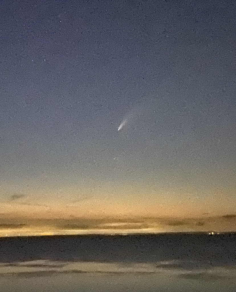 Hilton Lipschitz tweet media