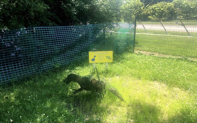 OtterbeinCCE's tweet photo. Stay tuned to see what we’re doing to the Dino Pit this summer. Hoping to add an educational twist and bring some serious fun. #garden #gardening #otterbeinuniversity #otterbeingarden  @OtterbeinCCE @Promise_House @otterbeinpres https://t.co/AWqRRFoApA