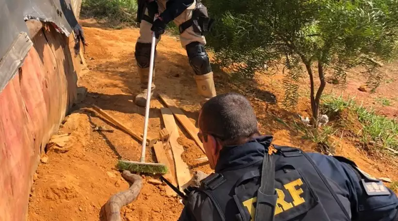 correio's tweet photo. Apreensão de répteis exóticos aumenta 96,75% nas estradas https://t.co/L2AMlg2KYZ https://t.co/yb3lsVC9hr