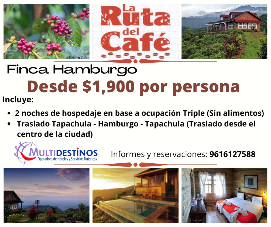multidestinosop's tweet photo. Date un respiro y visita la ruta del café!! #fincahamburgo #traveling #Chiapas #vamosaestarbien https://t.co/WWuqzB3leA