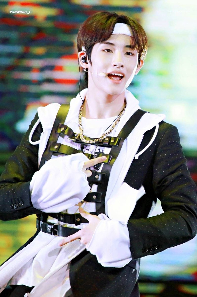 Hourly Winwin☁️ tweet media