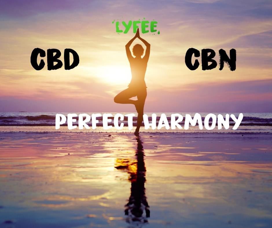 lyfee_educator's tweet photo. Ask us how this combination is benificial 💚 #lyfee #CBD #CBN https://t.co/tnO8Q2z4SZ