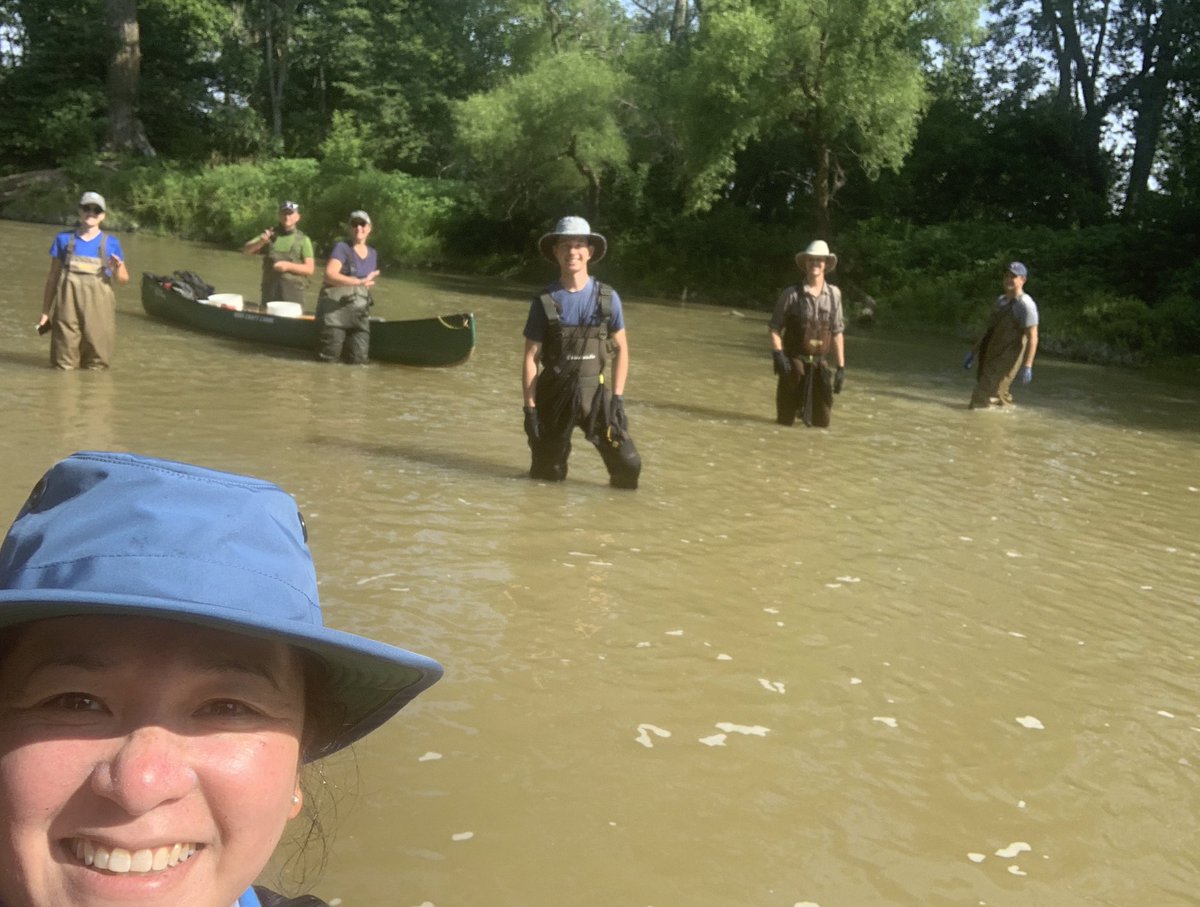 ecofebria's tweet photo. Show us your mussels! 💪🏾 Great day out for @roland_eveleens species-at-risk research 🛶 Turns out #CanoeLabs & 🦝 raccooning in the country’s most biodiverse river for freshwater mussels is also the perfect socially-distant activity 👍🏾 Thank you @SCRCA_water #CanadaNatureFund https://t.co/RAwQGfoQvU
