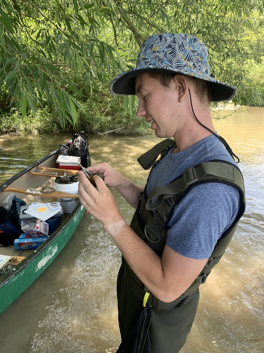 ecofebria's tweet photo. Show us your mussels! 💪🏾 Great day out for @roland_eveleens species-at-risk research 🛶 Turns out #CanoeLabs & 🦝 raccooning in the country’s most biodiverse river for freshwater mussels is also the perfect socially-distant activity 👍🏾 Thank you @SCRCA_water #CanadaNatureFund https://t.co/RAwQGfoQvU