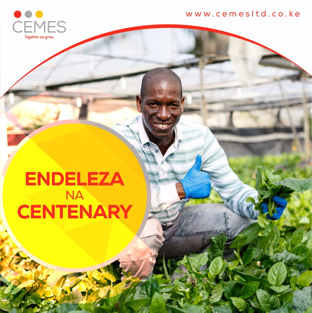 CemesLtd's tweet photo. We value our relationship with small business owners, we ensure they are able to access affordable financing to grow their businesses. 
https://t.co/LyygQPFq7q 
#cemescares #twitterhacked # https://t.co/szuqlXjr18