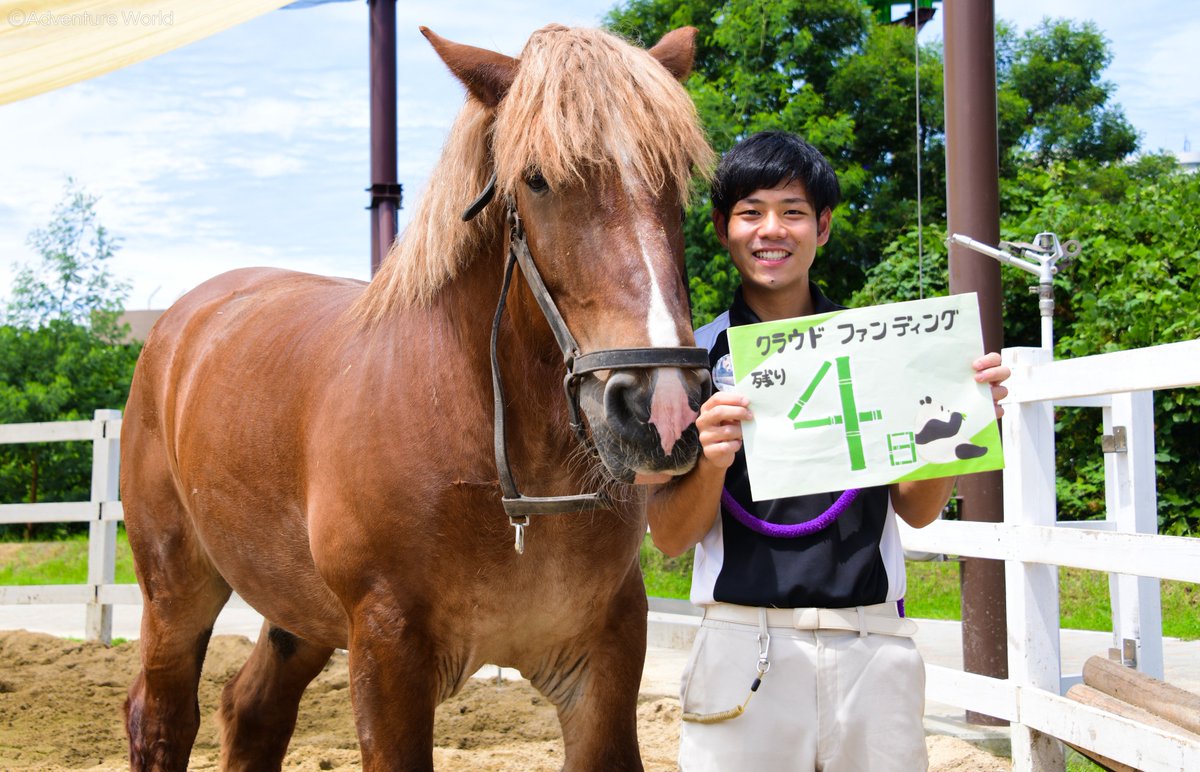 アドベンチャーワールド 公式 Twitter પર 馬と馬飼育スタッフと一緒にカウントダウン クラウドファンディング 残り4日 みなさまからのご支援はパークに暮らす動物たちが生き生きと暮らす為に必要な資金として大切に使わせていただきます T Co