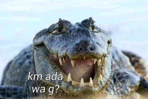 Edel89513408's tweet photo. Asli gue suka... 🤣 🤣 https://t.co/IsoGOOE2vD