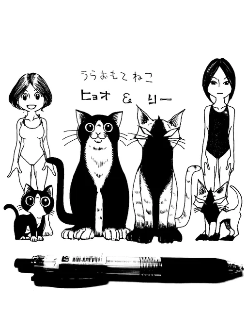 にゃん( ・ω・)ノ 
