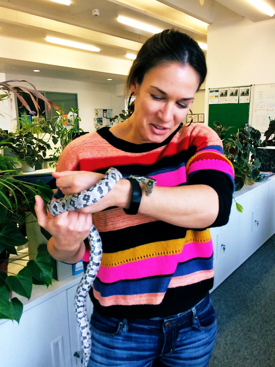 ToriFGraham's tweet photo. Happy #WorldSnakeDay!!! This is me with the lovely Sammy-snake, a corn snake from North America. He was rehomed by @sophiacooke &amp; was hands down the coolest resident at the Cambridge Conservation Initiative 😍🐍

#labpets #snakes #WorldSnakeDay https://t.co/ZjfSHi1YLy