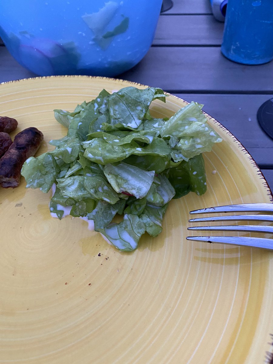 ExtroDIREKT's tweet photo. Ich hab das Gärtnern für mich entdeckt und mir ein Hochbeet angelegt... und anders, als beim Backen (da will ja nichts gelingen) ist hier tatsächlich was gewachsen 😂 🥰 #ichzeit #gartenfreude #freizeit #nurEINtweet https://t.co/MOnxS8oejx