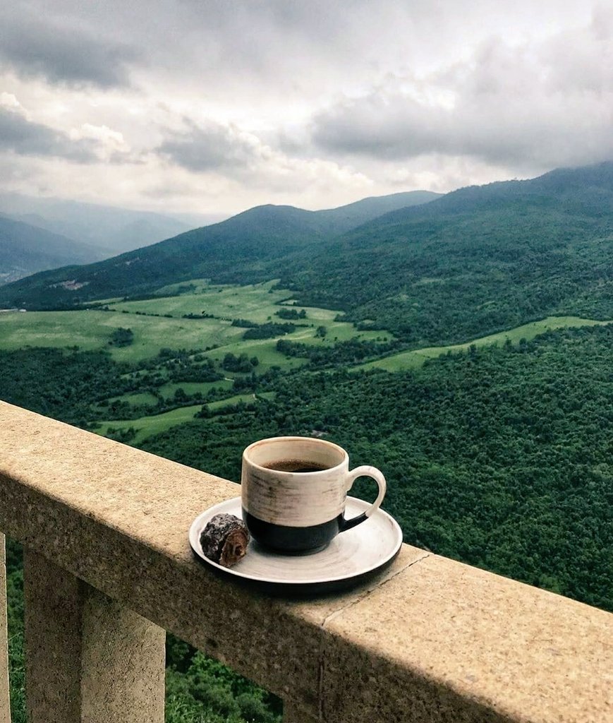 #ДоброУтро ☕
💚🍀🌞