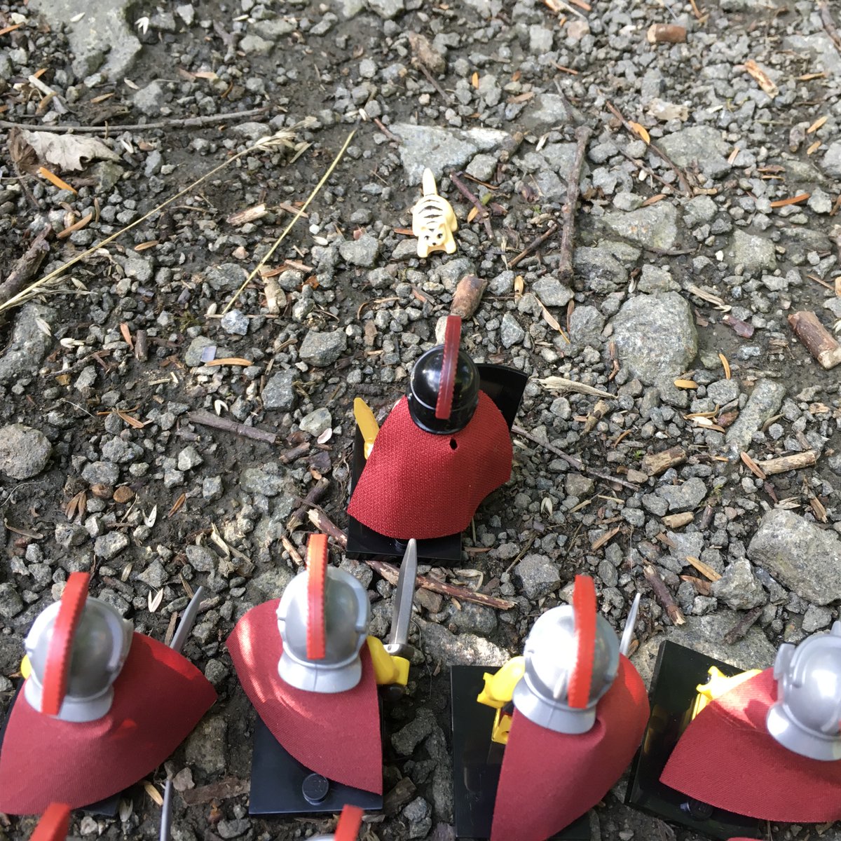 Flyingcloudkity's tweet photo. #CatkinsAdventures series 3, Part 2 of 6*!  
*Easter Egg: Spot the moth! https://t.co/ClmLqdpbwO