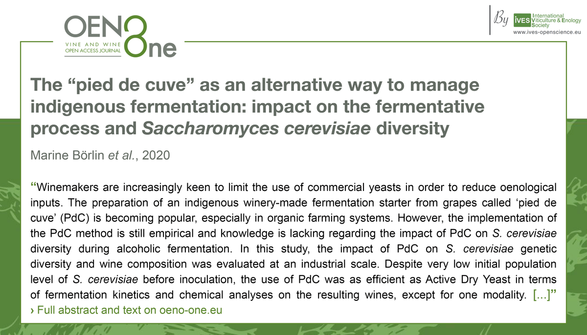 oeno_one's tweet photo. Discover "The “pied de cuve” as an alternative way to manage indigenous fermentation: impact on the fermentative process and Saccharomyces cerevisiae diversity", recently published in our journal.
➡️Full text here: https://t.co/tPmtS10Xwi
#winemaking https://t.co/j6aqozl47f