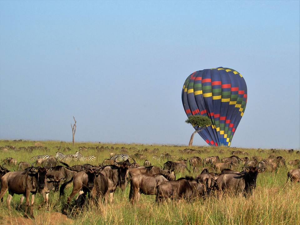 MaraIntrepids's tweet photo. When social distancing wasn't a thing. Meet ups at the local joint. π #JourneywithHeritagekenya
#ExploreMIC #Covid19 #Travel #Hospitality #Wildlife #MasaiMara https://t.co/BuQIbB5DlQ