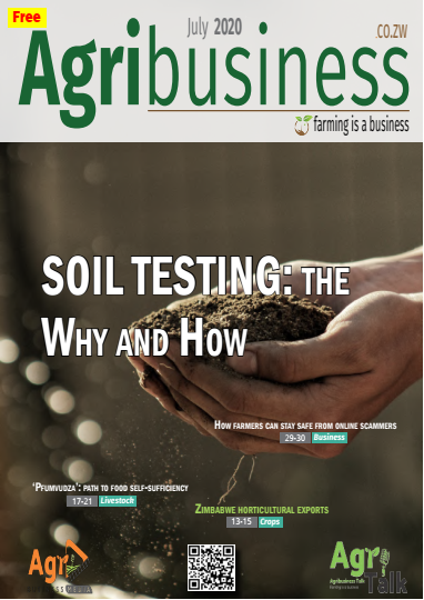 agribusinesszw's tweet photo. July 2020 Edition of the #FREE Agribusiness Magazine is out! Link https://t.co/Mp43lv4ODM
#farming #agribusiness #pfumvudza

@wau_femaleforce @ZimTradeAlerts @basera_john  @zimagricsociety @MoLAWRR_Zim @DVSZim @GNKLaboratories @POSBZimbabwe #windmill #womensbank #credsure https://t.co/5fS2rByCIM