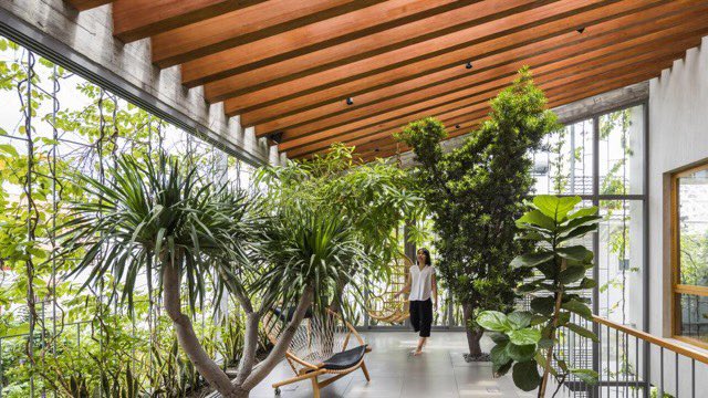 🌳La casa Stepping Park🌳,en Ho CHi Minh, forma parte de la serie de “Casas para los Árboles”.

#JuevesDeArquitectura #FelizJueves

Vía <a href="/LaVanguardia/">La Vanguardia</a> 

lavanguardia.com/magazine/disen…