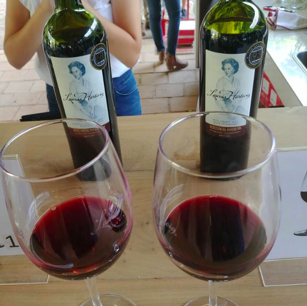 Atrevidos, con actitud!
Estos vinos reflejan la evolución del trabajo en el viñedo a través de los años. 
De producción limitada, no pasan desapercibidos y sin duda muestran un estilo más atrevido de hacer enología en Chile.

#cabernetsauvignon #petitverdot #cabernetfranc #vino