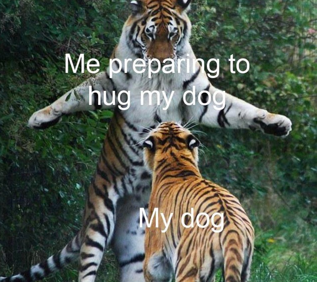 WholesomeMeme's tweet photo. https://t.co/pnnyutUmQV