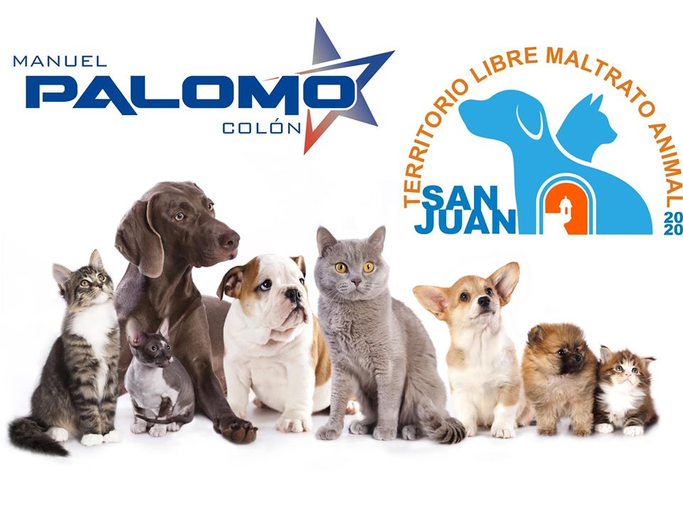 PalomoColon's tweet photo. SAN JUAN, TERRITORIO LIBRE DE MALTRATO ANIMAL:
En el siguiente enlace (https://t.co/ypMa1j937j) hay un parcial de nuestra plataforma. Que mucho uno quiere a estos angelitos.
ESCRÍBENOS Y SE PARTE ACTIVA DE TU PUEBLO.
plataformapalomo2020@gmail.com https://t.co/YZmzSfg86r
