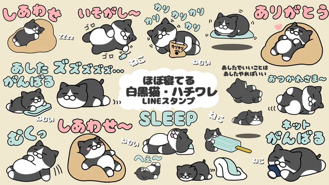 ほぼ寝てる白黒猫・ハチワレ猫スタンプ? 