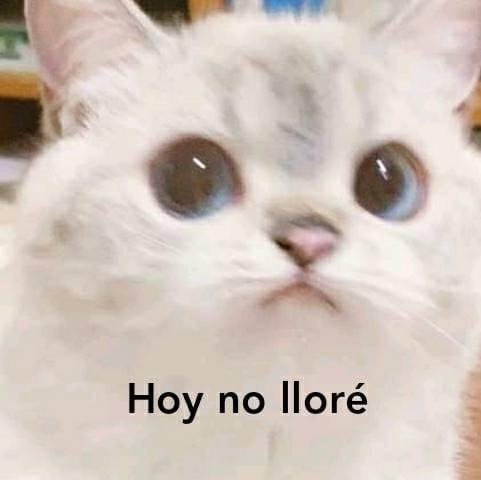 Todo parece imposible hasta que lo logras.