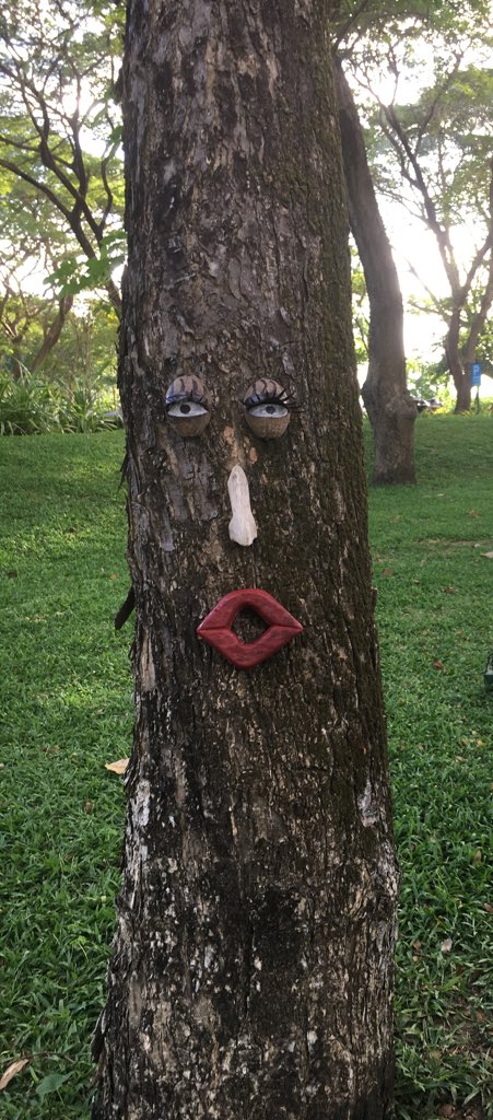 they put faces on the trees here hahahaha and there were duckies :3 and !! there’s a tiny rainbow at the fountain >:0