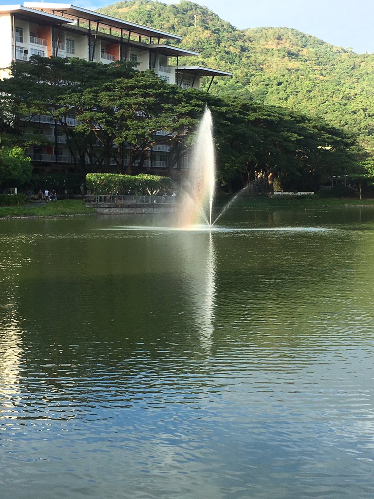 they put faces on the trees here hahahaha and there were duckies :3 and !! there’s a tiny rainbow at the fountain >:0